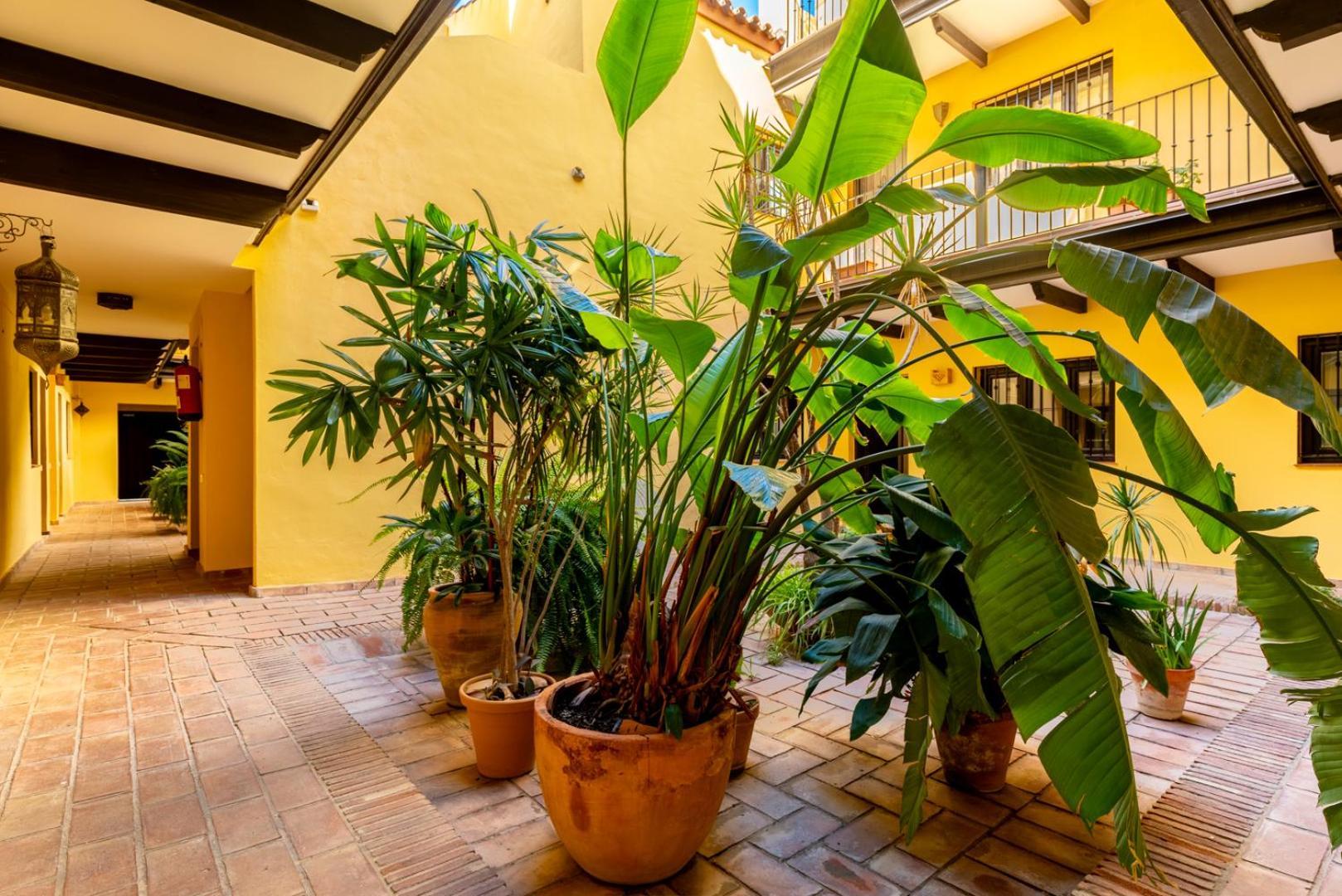 Loft En El Corral Del Horno Apartment Seville Exterior photo